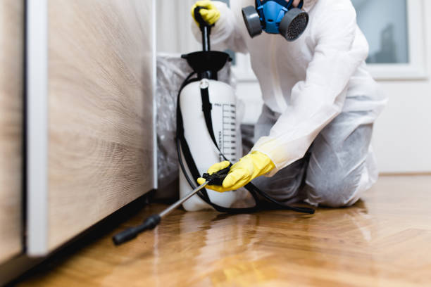 Best Affordable Pest Control Services  in Sun Lakes, AZ