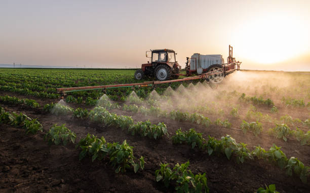 Best Pest Inspection Near Me  in Sun Lakes, AZ