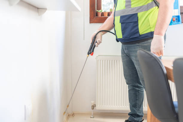 Best Local Pest Control Services  in Sun Lakes, AZ
