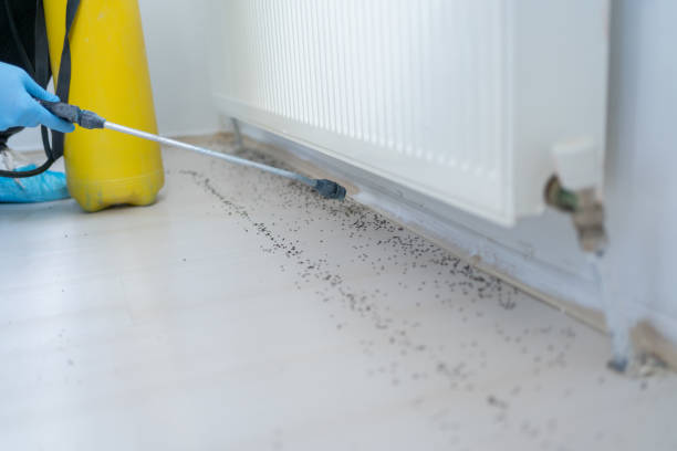Pest Control Cost in Sun Lakes, AZ